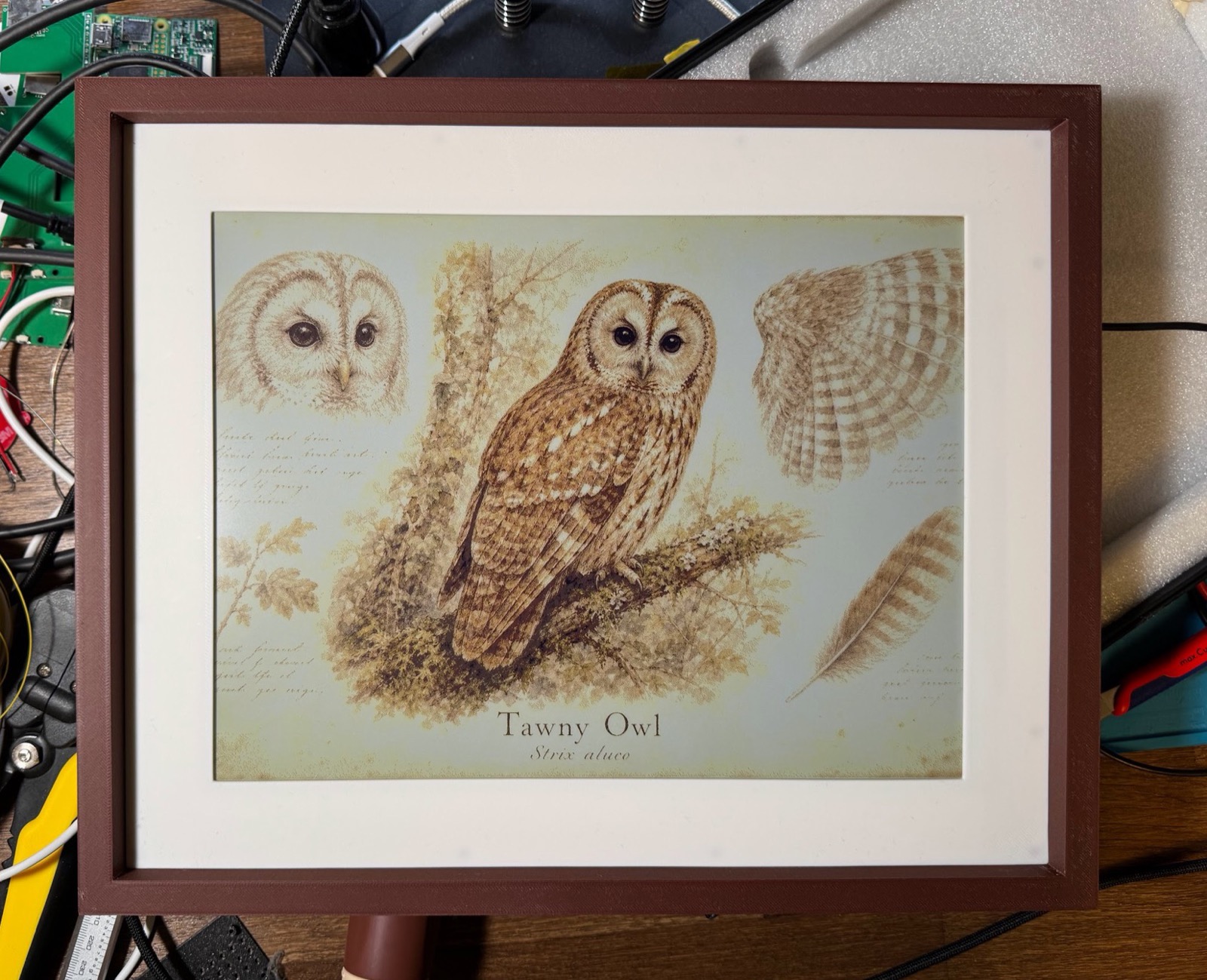 13.3 inch Spectra 6 color e-ink panel in a 3D-printed rosewood frame